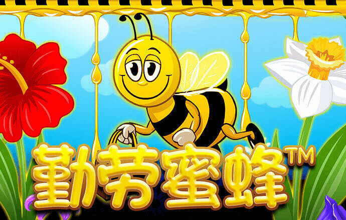 乐发vllV彩票app下载500